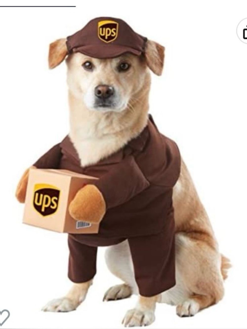 📦 "UPS Pal" Dog Costume! Large UPS Dog Uniform w/Hat & Box New